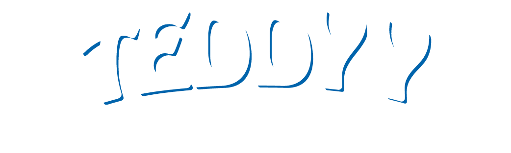 teddyy logo