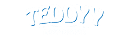 Teddyy Diaper logo
