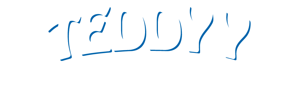Teddyy Diaper Footer logo