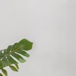 4 महीने की प्रेगनेंसी: लक्षण, शिशु का विकास और आहार चार्ट